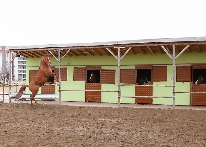 Afyon Termal * Afyonkarahisar