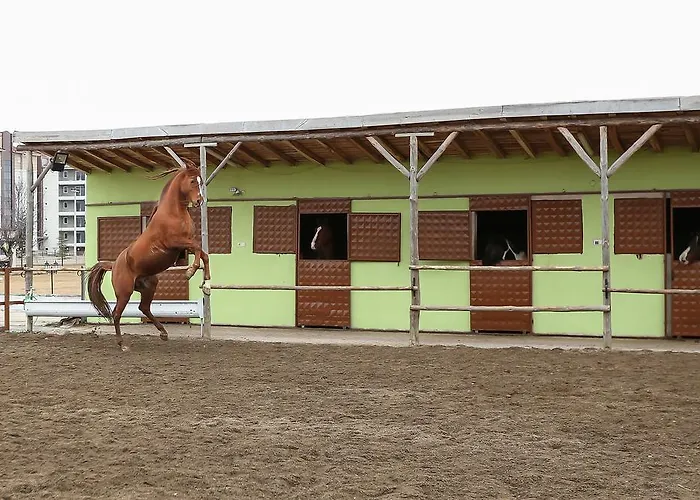 Afyon Termal Lejlighed