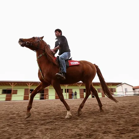 Appartement Afyon Termal
