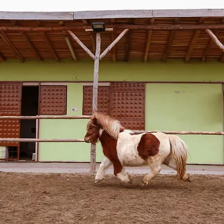 Afyon Termal Afyonkarahisar