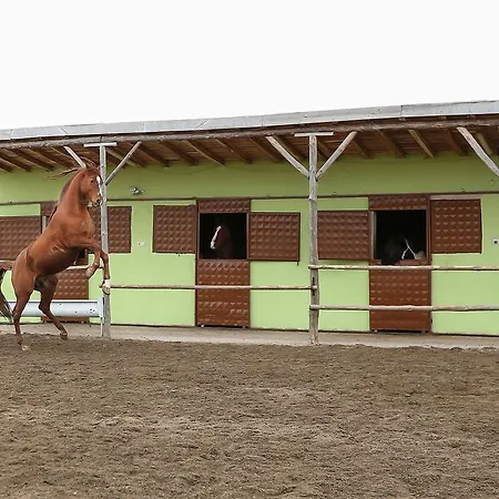 Afyon Termal Appartement