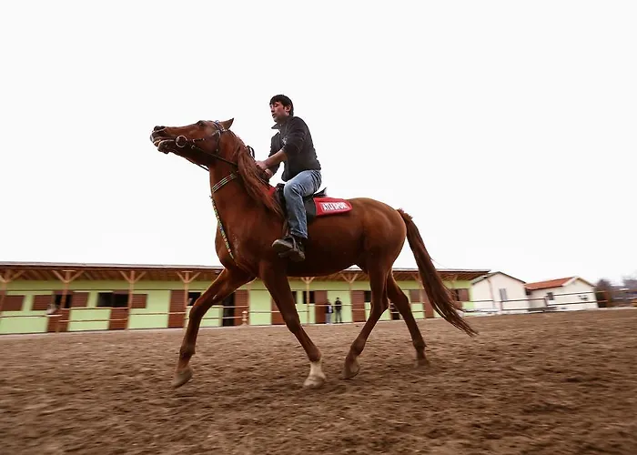 Apartmán Afyon Termal