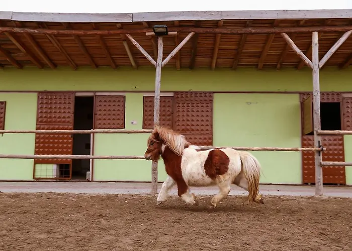 Afyon Termal Afyonkarahisar